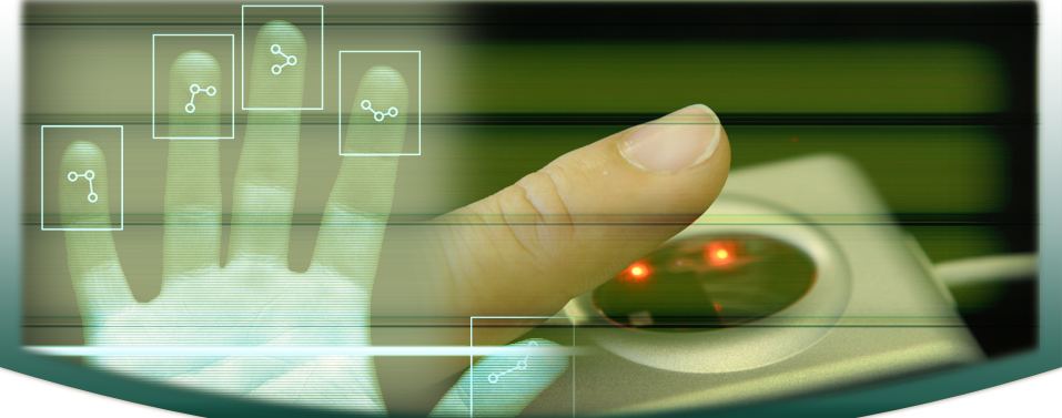 Client meeting and consultation